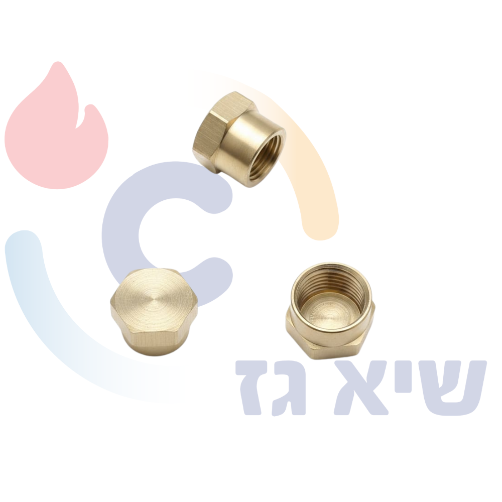 פקק לסעפת 1/2 אינצ' הברגה NPT