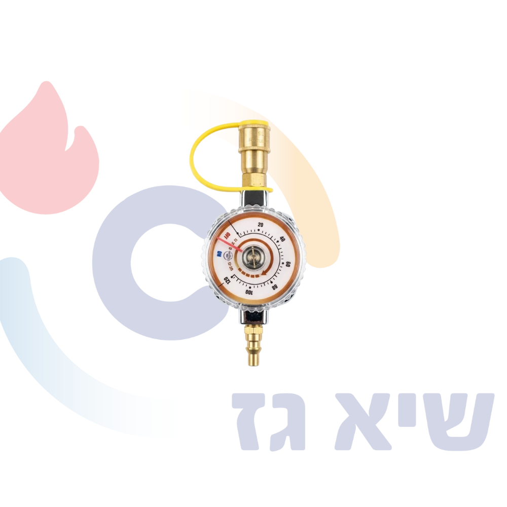 Alternative view of חגז לברז ניתוק מהיר
